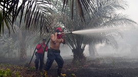 Politikus Demokrat Jadi Tersangka Alih Fungsi Hutan Riau