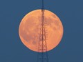 Malam Ini Langit akan Dihiasi Bulan Purnama 'Strawberry'