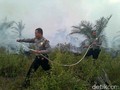 Kebakaran Hutan, Negara Dinilai Tak Berani Sentuh Korporasi
