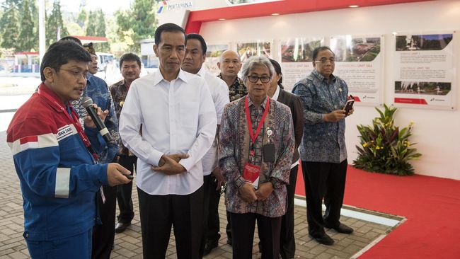 Tarik Ulur Harga Panas Bumi, Pemerintah Diminta Turun Tangan