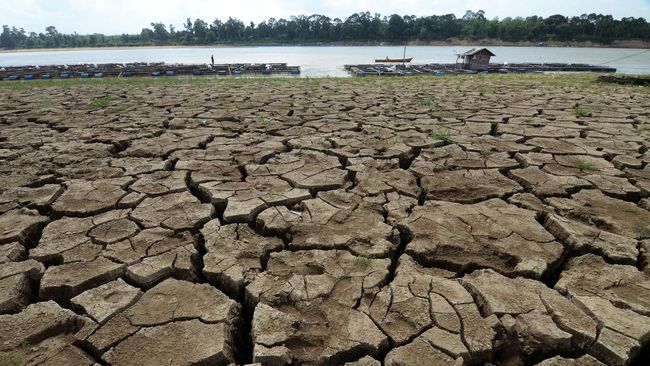 El Nino Picu Cuaca Panas Dan Kekeringan Di Asia Tenggara