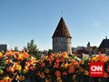 Finlandia Negara Paling Bahagia di Dunia, Indonesia ke-92