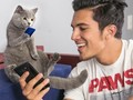 Aaron's Animal, Video Aksi Kucing yang Kocak