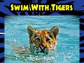 Kebun Binatang Dikecam karena Tawaran Berenang dengan Harimau