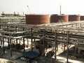 Exxon Perkirakan Produksi Puncak Blok Cepu Hanya Tiga Tahun