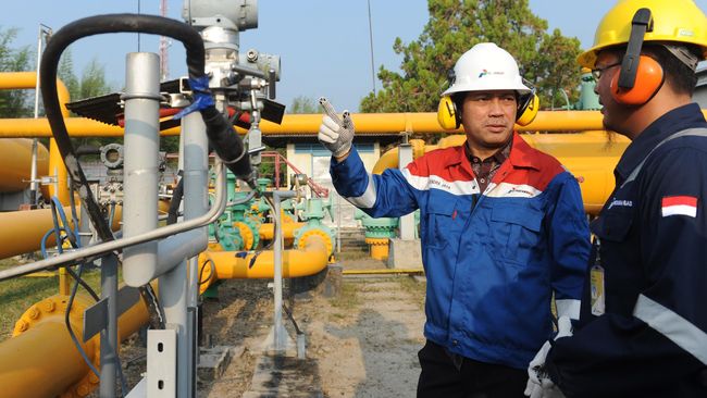 Pertagas Petakan Aset jelang Bergabungnya PGN
