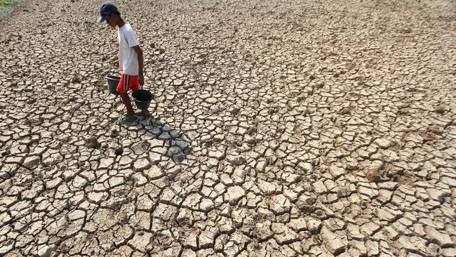 BMKG: Puncak Kemarau September, Musim Hujan Jatuh November