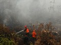 Pemerintah Dinilai 'Diakali' Perusahaan Nakal Pembakar Hutan