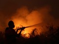 Kurang Anggaran, Dana Program Lain Dialokasi Atasi Kebakaran