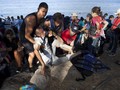 Jerman Diprediksi Habiskan Rp400 Triliun untuk Imigran