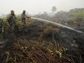 Modus Perusahaan Pembakar Hutan Sudah Jelas, Mesti Diadili
