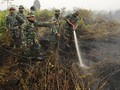 Bareskrim Tetapkan Satu Perusahaan Tersangka Pembakaran Lahan