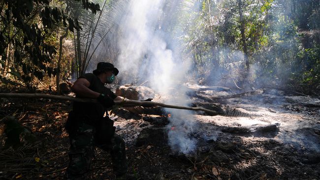 Peneliti LIPI: Hutan Indonesia Tak Bisa Terbakar Alami