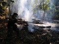 Jokowi Masukkan Perusahaan Pembakar Lahan ke Daftar Hitam