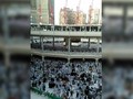 Viral, Pria Perancis Bunuh Diri di Masjidil Haram