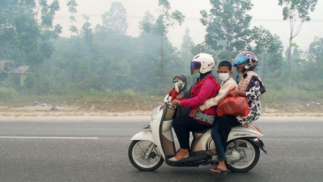 Walhi: Pemerintah Kelabakan Awasi Area Konsesi Hutan