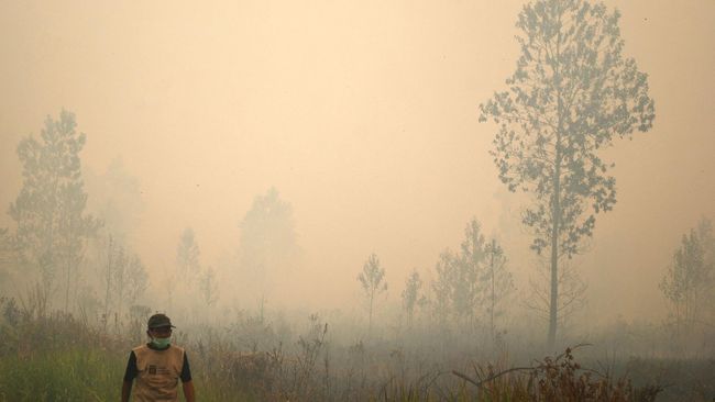 Kadin: Kebakaran Hutan Rugikan Ekonomi Riau Rp 20 Triliun