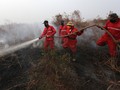 Bencana Asap, Perusahaan Kertas Salahkan Pemerintah Daerah