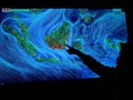 Daftar Hitam Perusahaan Pembakar Hutan Rampung Desember