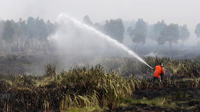Asap Masih Selimuti Sumatera dan Kalimantan