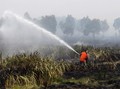 Asap Masih Selimuti Sumatera dan Kalimantan