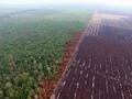 Propam Polri Dalami Pertemuan Perwira dan PT APSL