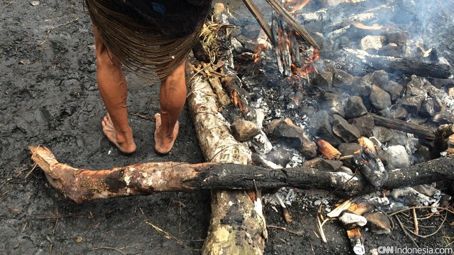 Potret Suku Dani Papua, Suka Perang Tapi Ramah ke Pendatang