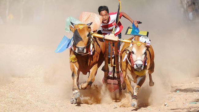 Kedutaan Besar Diminta Lebih Aktif Promosikan Wisata