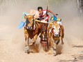 Asosiasi Animasi Dukung Promosi Pariwisata Indonesia