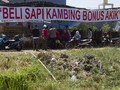 Mentan Pastikan Impor 600 Ribu Sapi Bakalan Tahun Ini