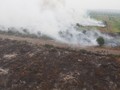 Kebakaran Hutan, KLHK Segel Area Milik 5 Perusahaan di Kalbar