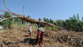 Menperin Usulkan Industri yang Layak Dibantu Duit Tax Amnesty