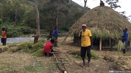 Warga Adat Papua Keluhkan Aktivitas Investasi Perkebunan