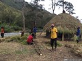 Warga Adat Papua Keluhkan Aktivitas Investasi Perkebunan