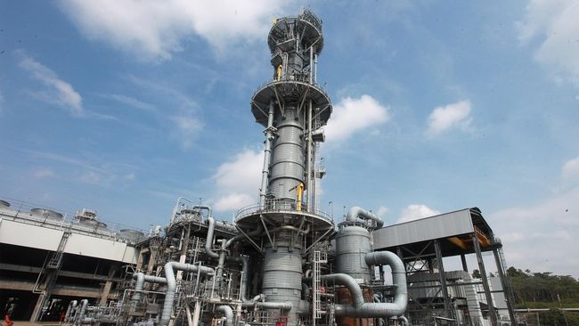 Pemerintah Undang Investor Bangun Kawasan Industri Petrokimia