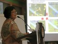 Menteri Siti 'Berseberangan' dengan Luhut soal Reklamasi