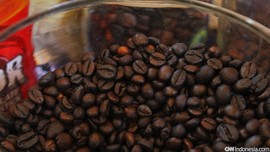 Lampung Bakal Gelar Perayaan Hari Kopi Internasional