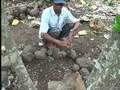 Kisah Kuburan Massal Korban G30S di Semarang
