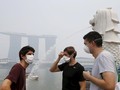 Singapura Sebut Empat Perusahaan Indonesia Pemicu Kabut Asap