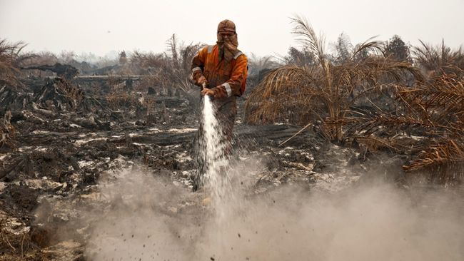Atasi Kebakaran Hutan, Gapki Desak Revisi UU Lingkungan Hidup
