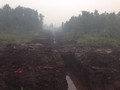 BNPB: Kualitas Udara di Palangkaraya Terburuk