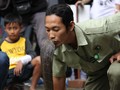 10 Fakta King Kobra yang Tewaskan Pemuda di Depok