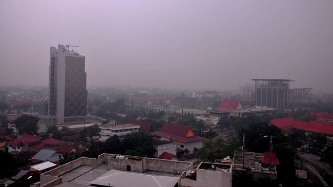 Kabut Asap di Riau Kembali Pekat, Jarak Pandang 30 Meter