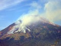 Kawasan Hutan di Gunung Sindoro Terbakar