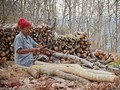 PBB Sebut Banyak Warga RI Masak Pakai Bahan Bakar Tak Layak