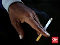 Untung Bersih Gudang Garam 'Mengepul' Jadi Rp3,12 Triliun