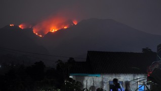 Gunung Merbabu Kebakaran, Pendakian Ditutup Sementara