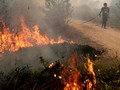 LAPAN Deteksi 567 Titik Panas, Terbanyak di Kalbar