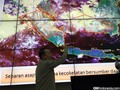 BNPB: Kerugian Negara Akibat Kebakaran Hutan Melebihi Rp 20T