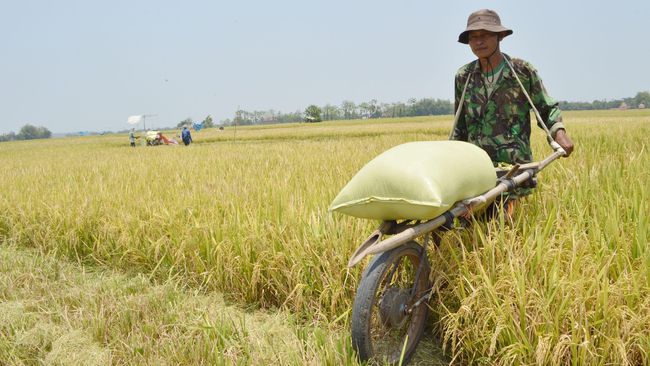 Bila Sumber Pangan Impor, Siap-siap Neraca Dagang Bengkak